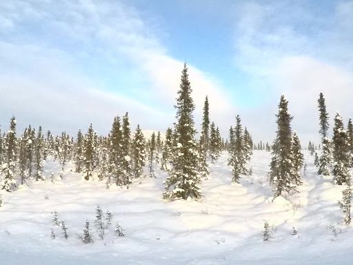 Steese National Conservation Area