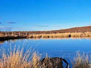 Cairngorms Glamping & Campsite
