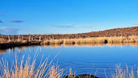 Cairngorms Glamping & Campsite