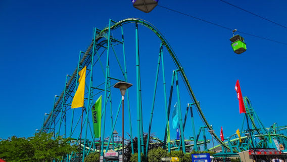 Raptor