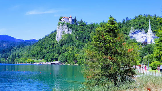 Bled