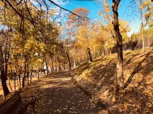 Parcul Municipal