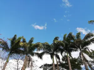 Parque Los Poetas
