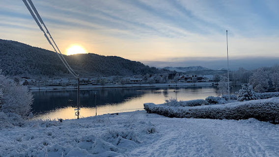 Aalesund