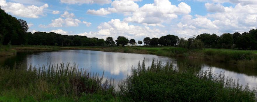 Natursee Steimbke