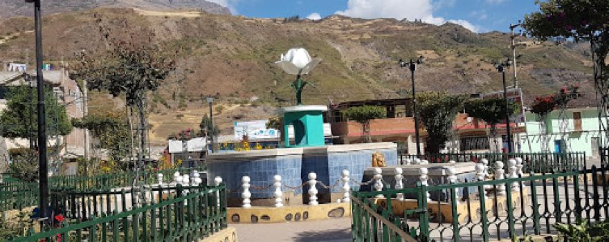 Virgen Peregrina