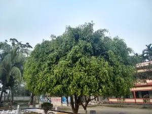 Tusi Sachar (Kalakopa) Park