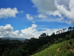 Nepalthok Pati