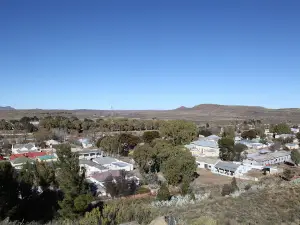Modern Art Projects South Africa (MAPSA)