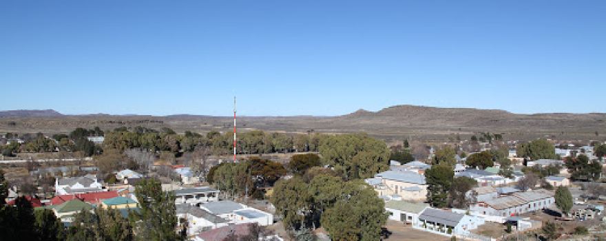Modern Art Projects South Africa (MAPSA)