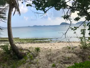 Buliya