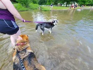 Burr Oak State Park Beach