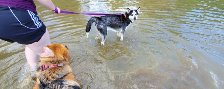 Burr Oak State Park Beach