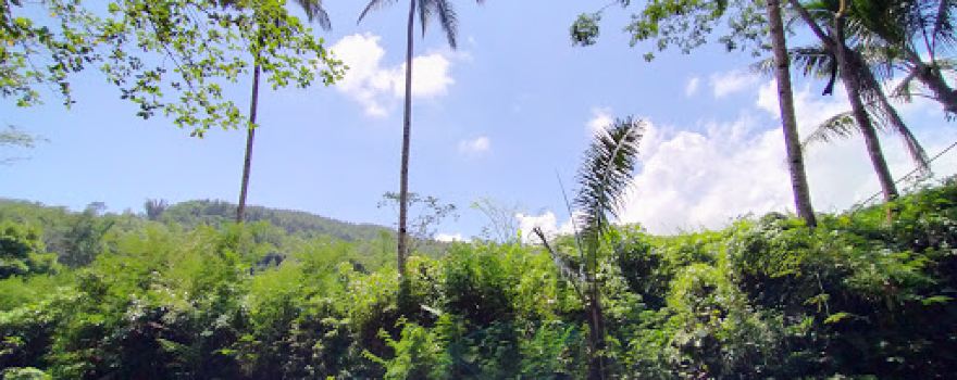 Curug Cipanganten