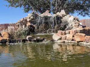 Crane County Park