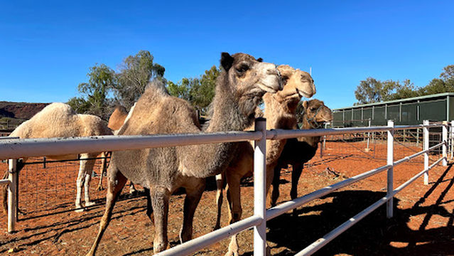 Kings Creek Campground
