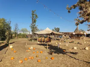 Villaggio delle Zucche di Nonno Andrea