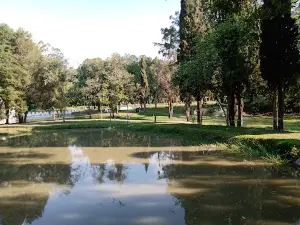 Pesqueiro Castelinho