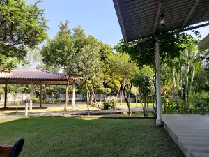Akshara Yoga School