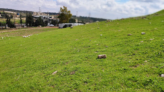 Amman National Park