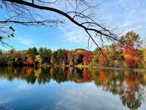 Lakewood Park Campground