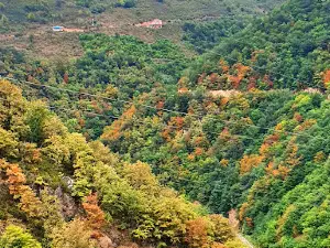 Yağlı Creek