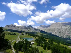 TS Auron