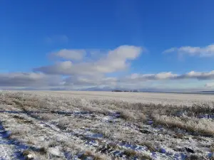Старокулаткинский государственный природный заказник