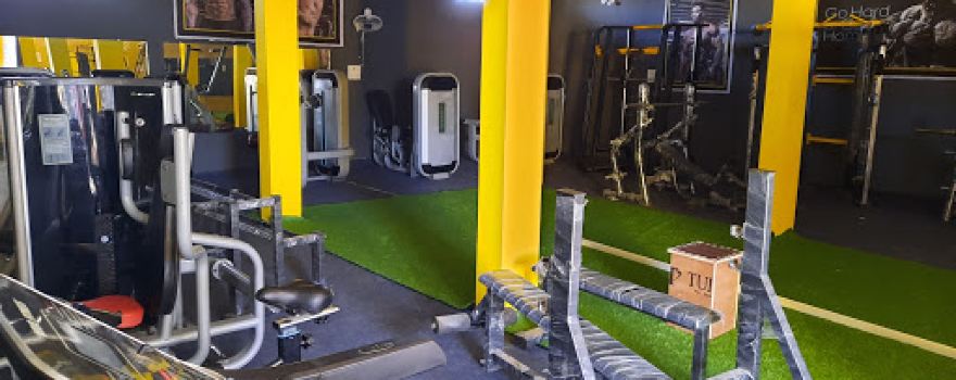 Golden Gym Susner