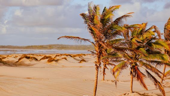 MAMBRUI SAND DUNES