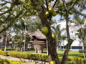 Parque Ecológico San Miguel Acapantzingo