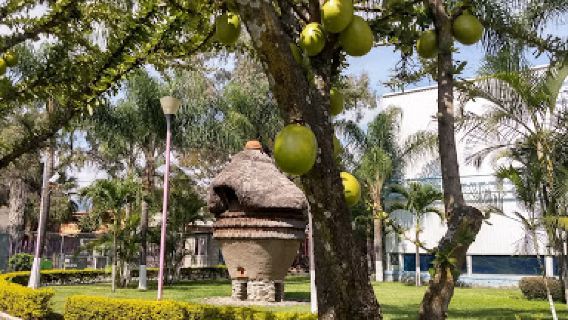 Parque Ecológico San Miguel Acapantzingo