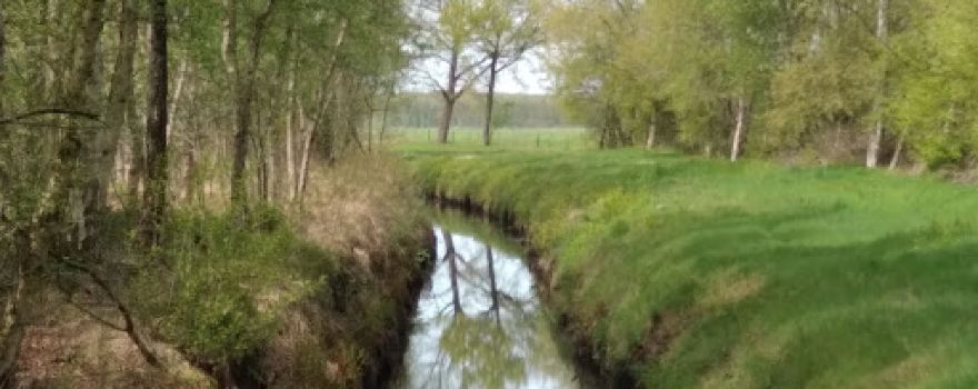 Rockenmoor / Fuchsberg