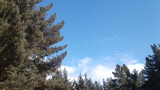 Santuario de Schoenstatt Los Pinos