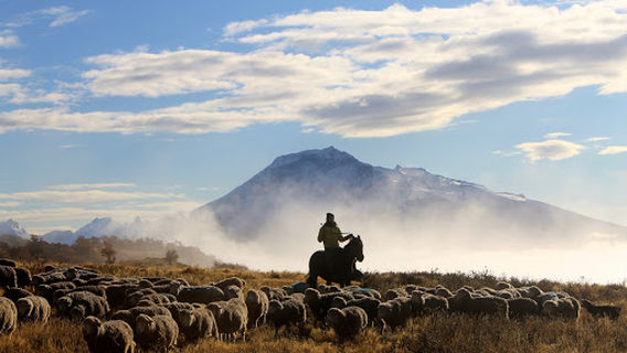 Puerto Natales