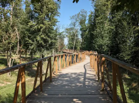 Reabilitatsiynyy Tsentr Arden