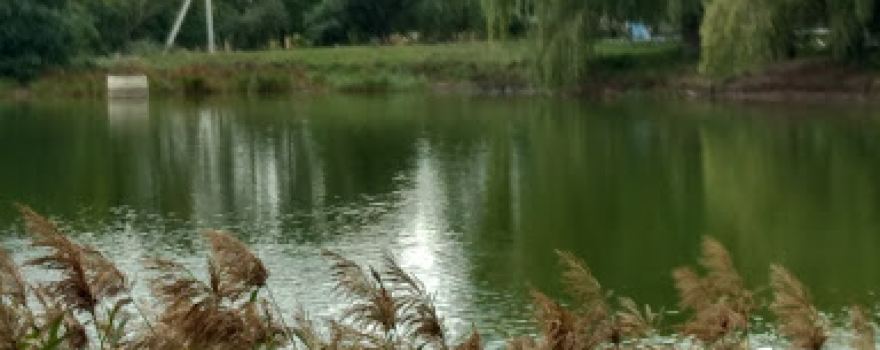 Parc Sudarca