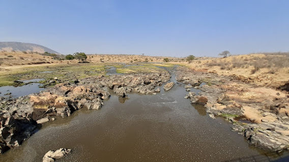 Ruaha National Park INGRESSO