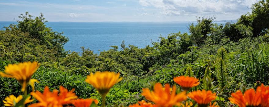 Coastal Path