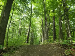 Genesee County Park & Forest