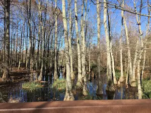 Peterson Lake Nature Center