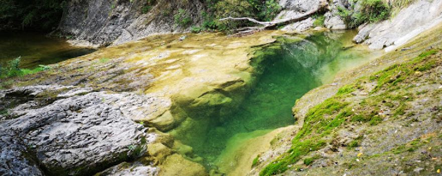 Krčnik Natural Monument