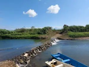 Embarcadero Río Térraba