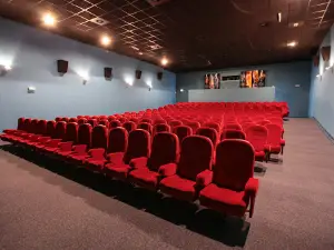 Cinéma Le Studio
