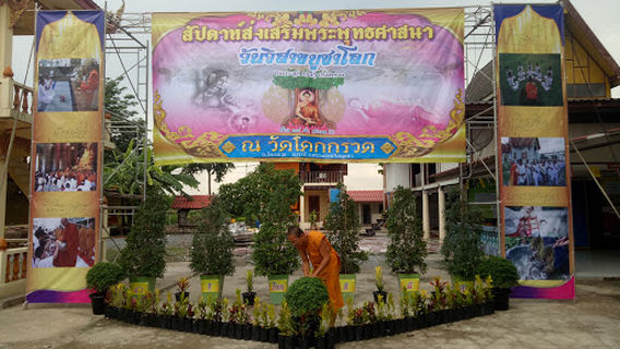 Phachi