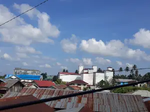 Hiu Paus Tutul - Talisayan