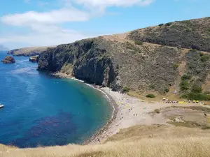 Scorpion Ranch