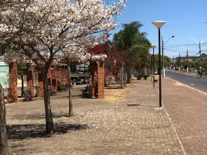 Praça da Vitalidade