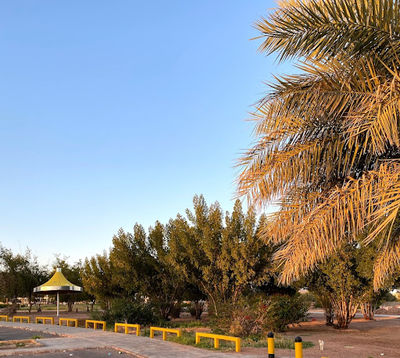 Prince Sultan Park