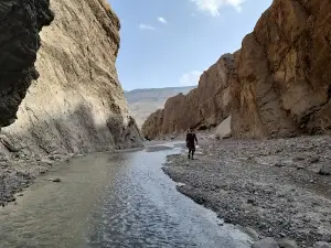 Zardalo Harnai